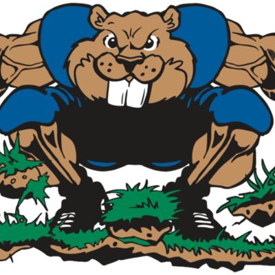 AR14 BEAVER FBLL 04 RQC Thumbnail